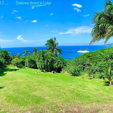 Lodge Colibris Piscine Privee Vue Panoramique Mer Et Montagne Pelee , 500 M Plage Dans Un Parc , Calme Assure Ideal Pour Decouvrir Le Nord Caraibes 르 카르베 외부 사진