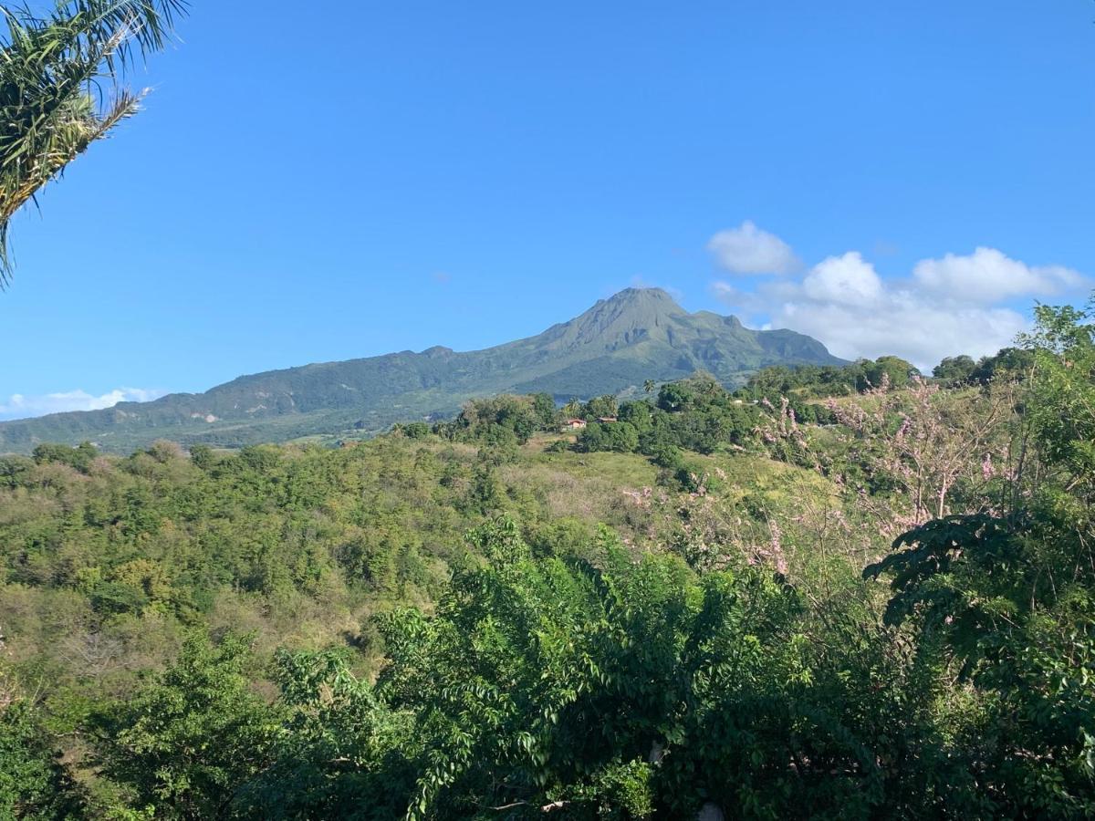 Lodge Colibris Piscine Privee Vue Panoramique Mer Et Montagne Pelee , 500 M Plage Dans Un Parc , Calme Assure Ideal Pour Decouvrir Le Nord Caraibes 르 카르베 외부 사진