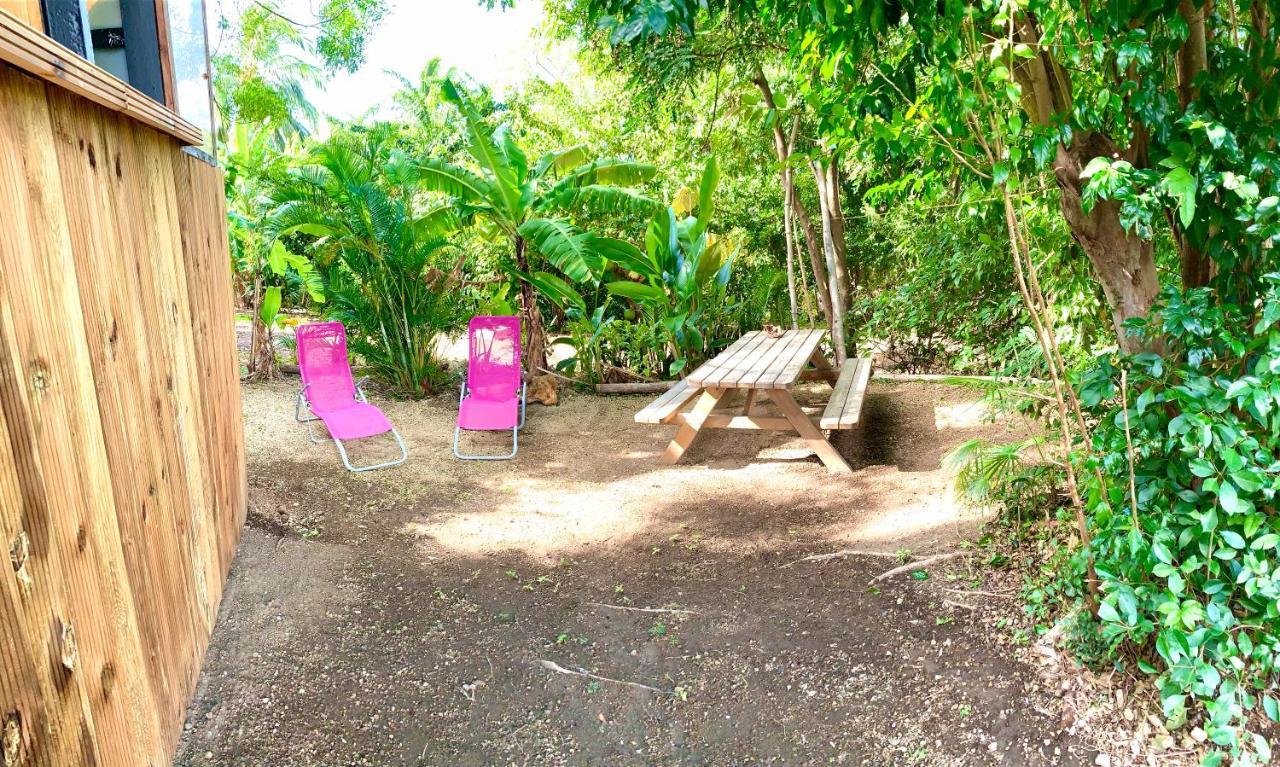 Lodge Colibris Piscine Privee Vue Panoramique Mer Et Montagne Pelee , 500 M Plage Dans Un Parc , Calme Assure Ideal Pour Decouvrir Le Nord Caraibes 르 카르베 외부 사진