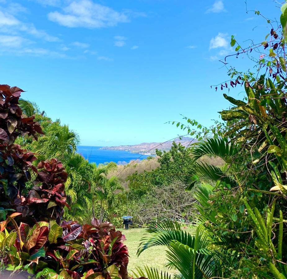 Lodge Colibris Piscine Privee Vue Panoramique Mer Et Montagne Pelee , 500 M Plage Dans Un Parc , Calme Assure Ideal Pour Decouvrir Le Nord Caraibes 르 카르베 외부 사진