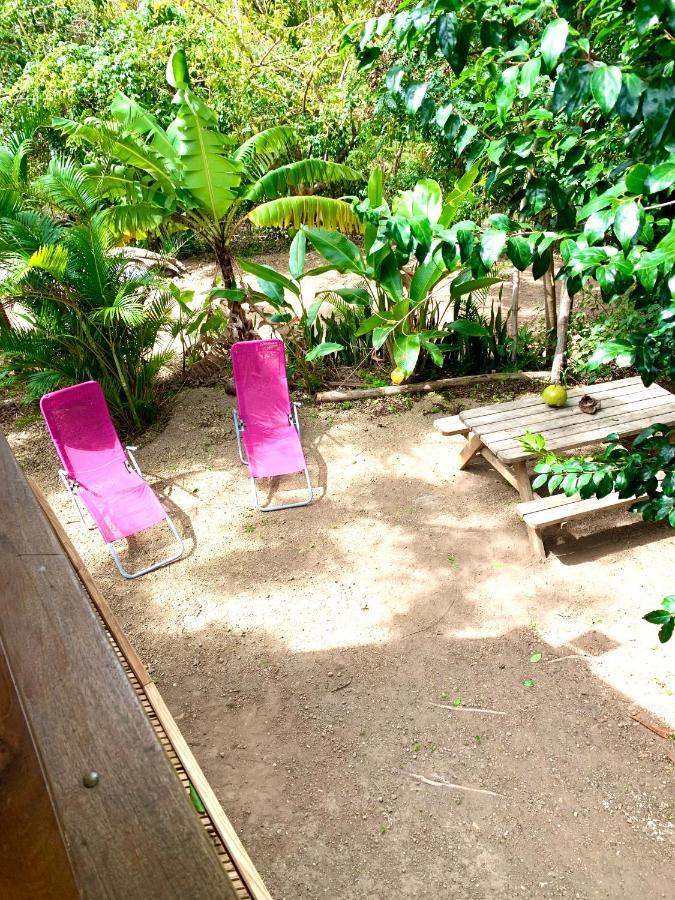 Lodge Colibris Piscine Privee Vue Panoramique Mer Et Montagne Pelee , 500 M Plage Dans Un Parc , Calme Assure Ideal Pour Decouvrir Le Nord Caraibes 르 카르베 외부 사진