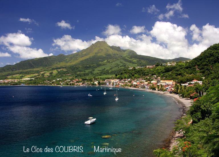 Lodge Colibris Piscine Privee Vue Panoramique Mer Et Montagne Pelee , 500 M Plage Dans Un Parc , Calme Assure Ideal Pour Decouvrir Le Nord Caraibes 르 카르베 외부 사진