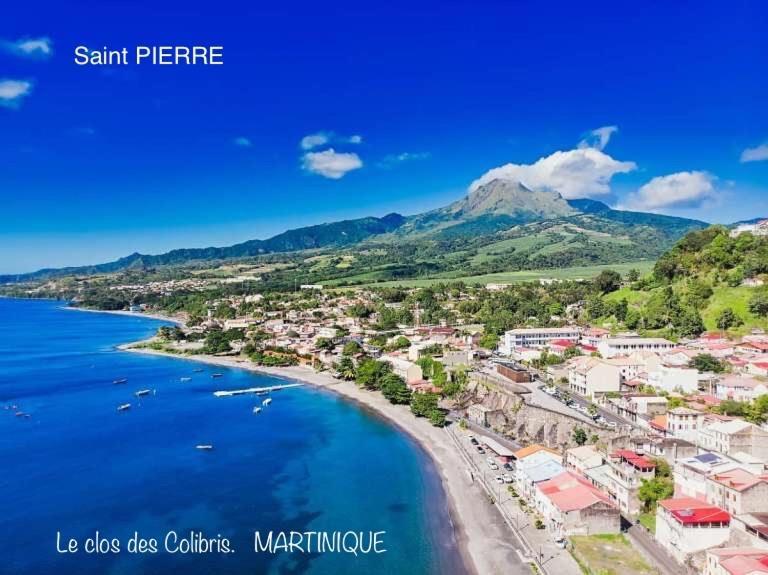 Lodge Colibris Piscine Privee Vue Panoramique Mer Et Montagne Pelee , 500 M Plage Dans Un Parc , Calme Assure Ideal Pour Decouvrir Le Nord Caraibes 르 카르베 외부 사진